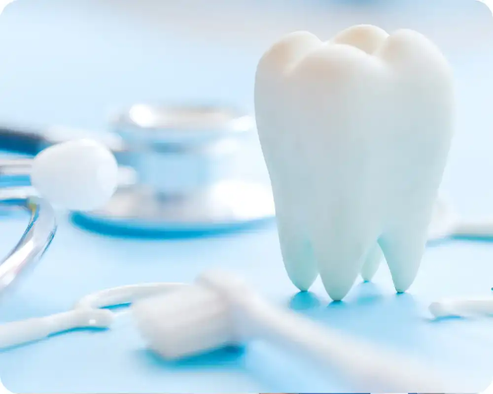 整理整頓された診療器具