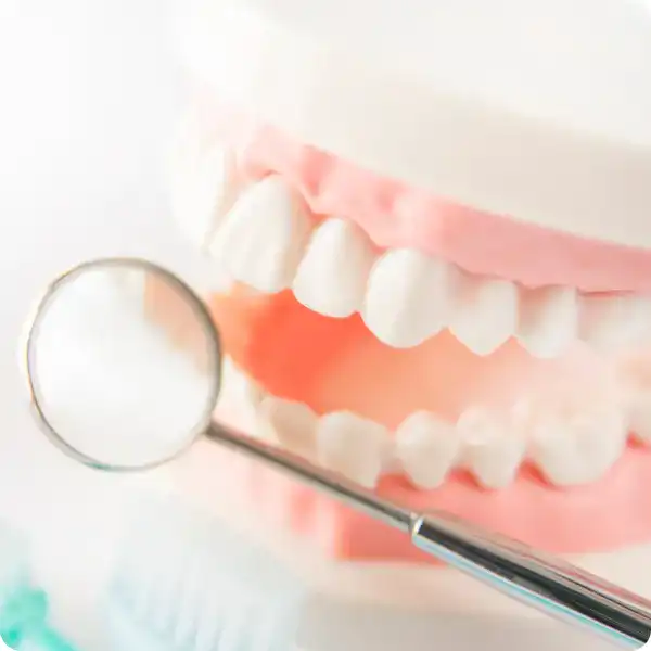 予防中心の歯科医療サイクル